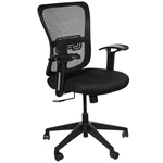 Solimo Accord Office Chair